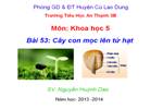 Bài 53. Cây con mọc lên từ hạt