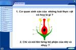 Bài 52. Sự sinh sản của thực vật có hoa