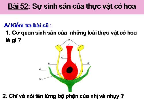 Bài 52. Sự sinh sản của thực vật có hoa