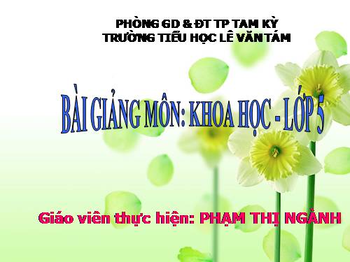 Bài 67. Tác động của con người đến môi trường không khí và nước