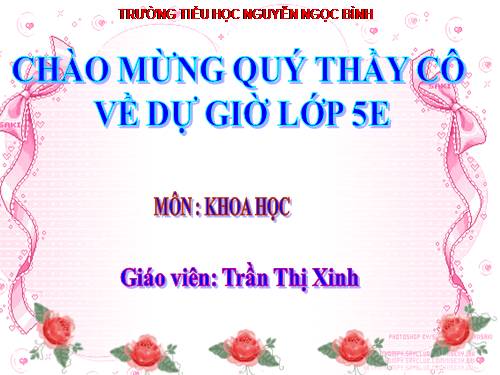 Bài 45. Sử dụng năng lượng điện