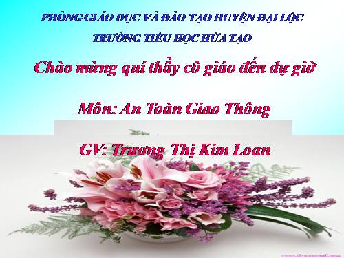 Bài 19. Phòng tránh tai nạn giao thông đường bộ