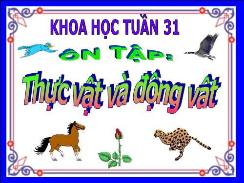 Bài 61. Ôn tập: Thực vật và động vật