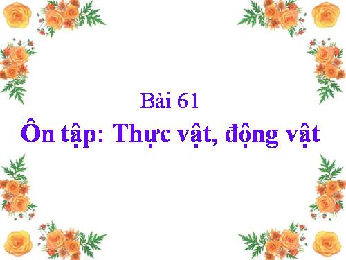 Bài 61. Ôn tập: Thực vật và động vật