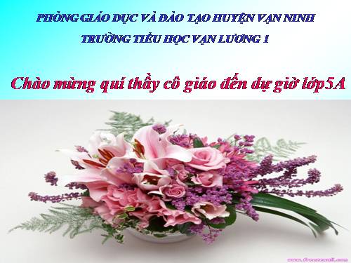 Bài 19. Phòng tránh tai nạn giao thông đường bộ