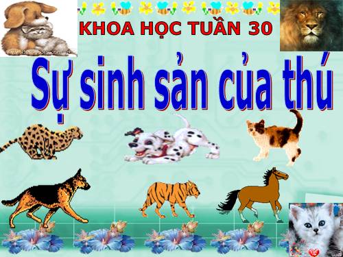 Bài 59. Sự sinh sản của thú