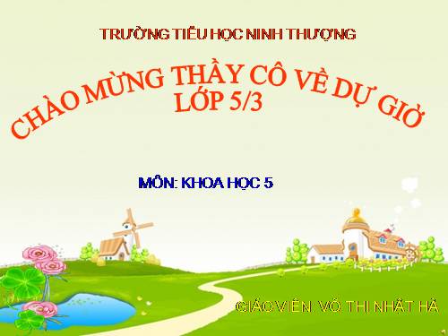 Bài 15. Phòng bệnh viêm gan A