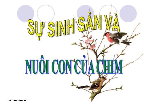 Bài 58. Sự sinh sản và nuôi con của chim