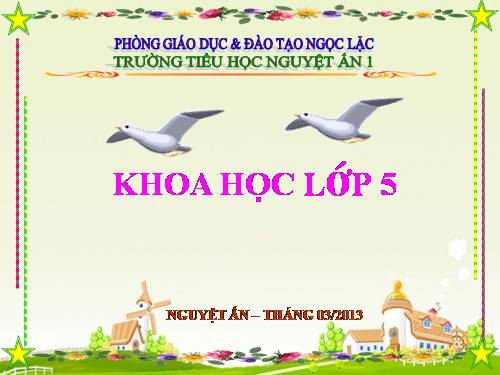 Bài 54. Cây con có thể mọc lên từ một số bộ phận của cây mẹ