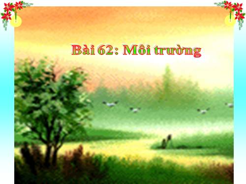 Bài 62. Môi trường