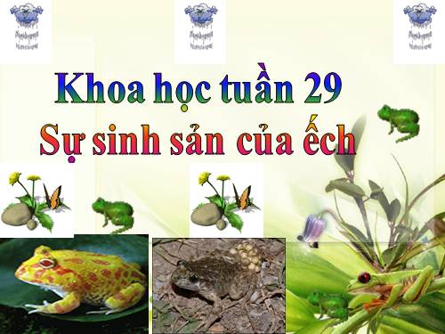 Bài 57. Sự sinh sản của ếch