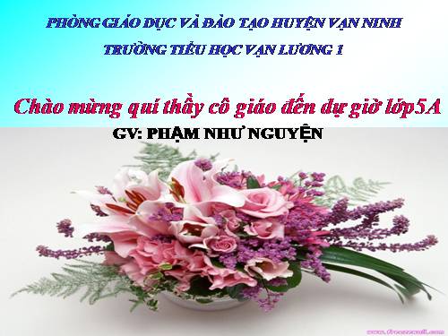 Bài 19. Phòng tránh tai nạn giao thông đường bộ