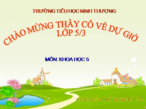 Bài 15. Phòng bệnh viêm gan A