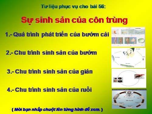 Bài 56. Sự sinh sản của côn trùng