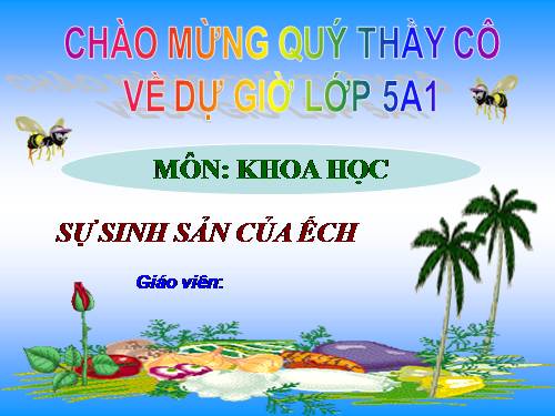 Bài 57. Sự sinh sản của ếch