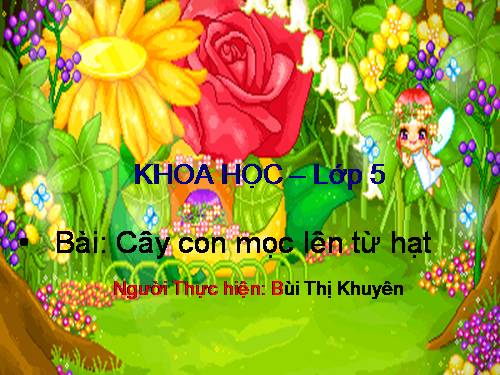 Bài 53. Cây con mọc lên từ hạt