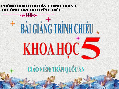 Bài 53. Cây con mọc lên từ hạt