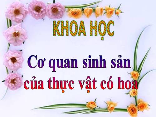 Bài 51. Cơ quan sinh sản của thực vật có hoa