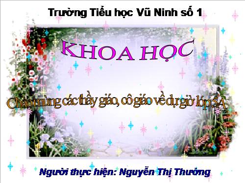 Bài 14. Phòng bệnh viêm não