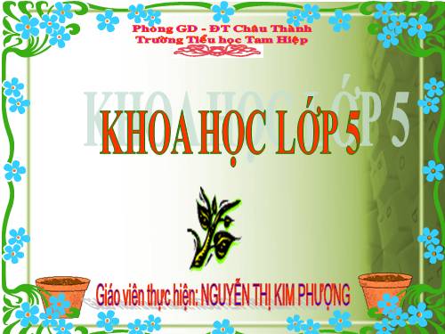 Bài 53. Cây con mọc lên từ hạt