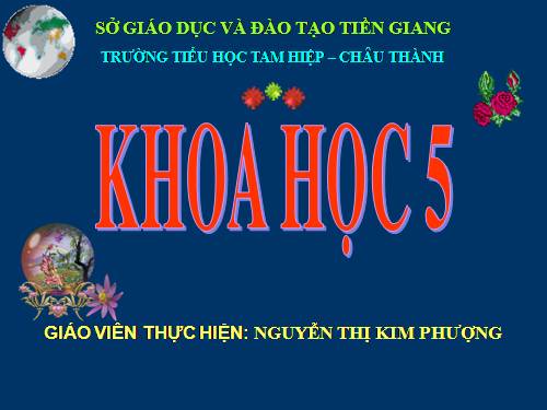 Bài 58. Sự sinh sản và nuôi con của chim
