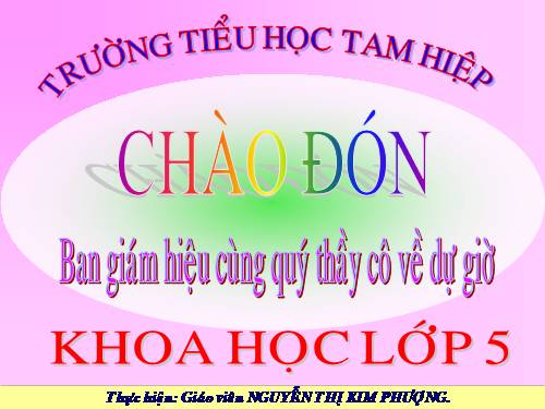 Bài 54. Cây con có thể mọc lên từ một số bộ phận của cây mẹ