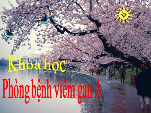 Bài 15. Phòng bệnh viêm gan A