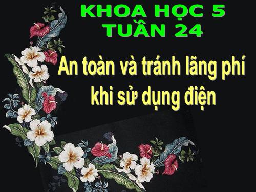 Bài 48. An toàn và tránh lãng phí khi sử dụng điện