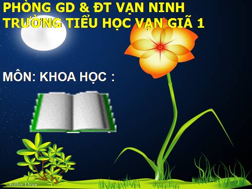 Bài 40. Năng lượng