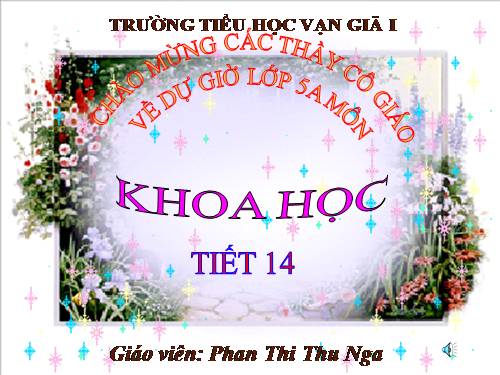 Bài 14. Phòng bệnh viêm não