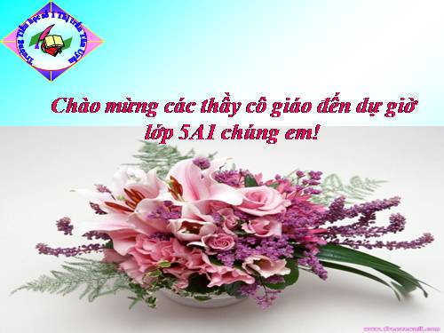 Bài 19. Phòng tránh tai nạn giao thông đường bộ