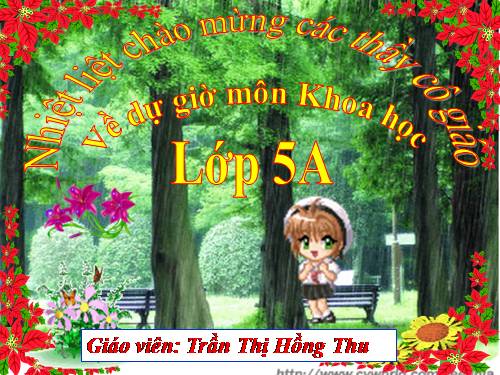 Bài 13. Phòng bệnh sốt xuất huyết