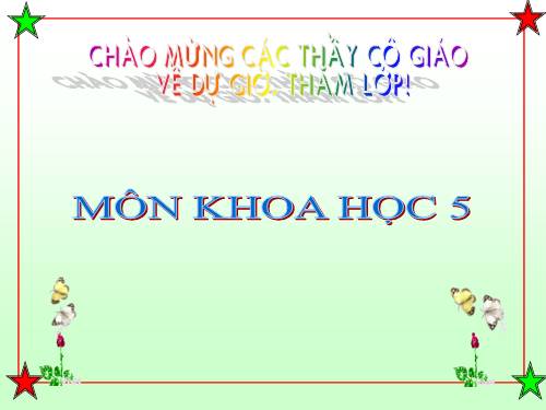 Bài 19. Phòng tránh tai nạn giao thông đường bộ