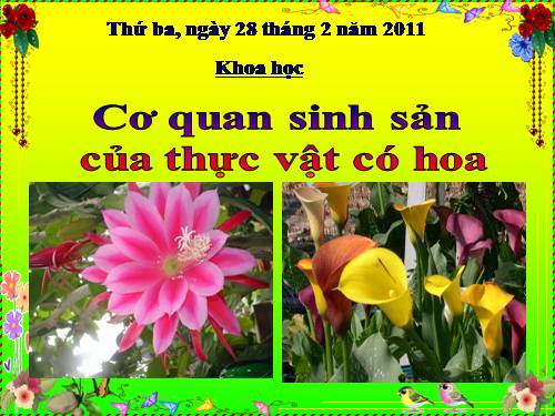 Bài 51. Cơ quan sinh sản của thực vật có hoa