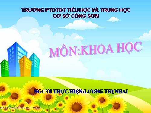 Bài 15. Phòng bệnh viêm gan A