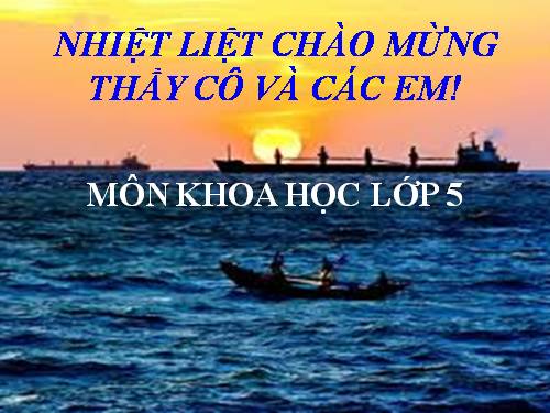 Bài 41. Năng lượng mặt trời