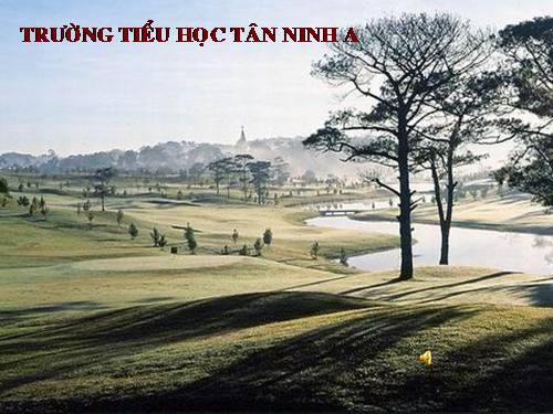 Bài 62. Môi trường