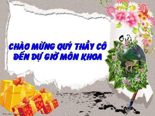 Bài 20-21. Ôn tập: Con người và sức khỏe