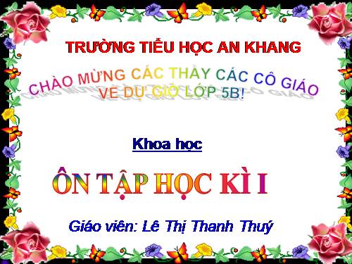 Bài 33-34. Ôn tập và Kiểm tra học kì I