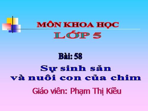 Bài 58. Sự sinh sản và nuôi con của chim