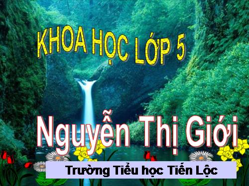 Bài 32. Tơ sợi