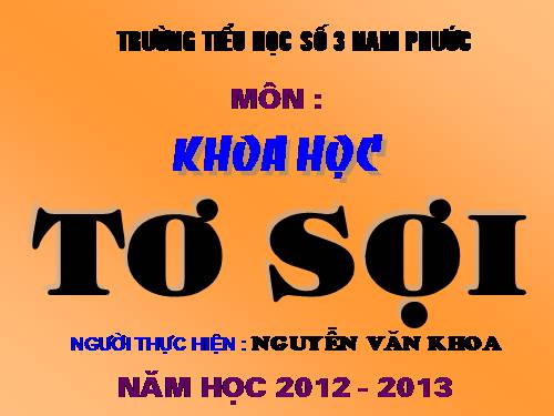 Bài 32. Tơ sợi