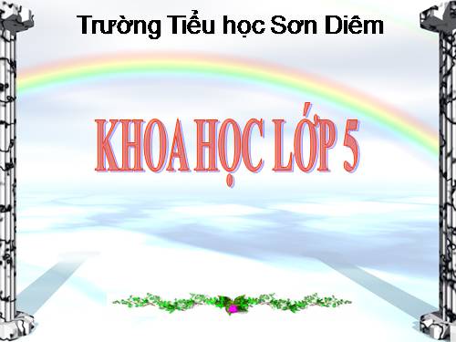 Bài 27. Gốm xây dựng: gạch, ngói