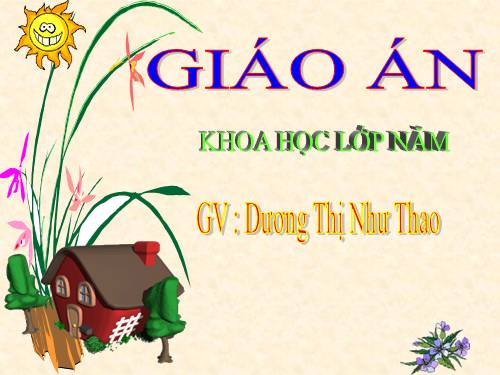 Bài 27. Gốm xây dựng: gạch, ngói