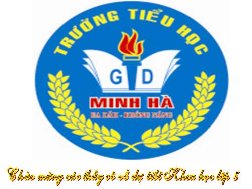 Bài 27. Gốm xây dựng: gạch, ngói