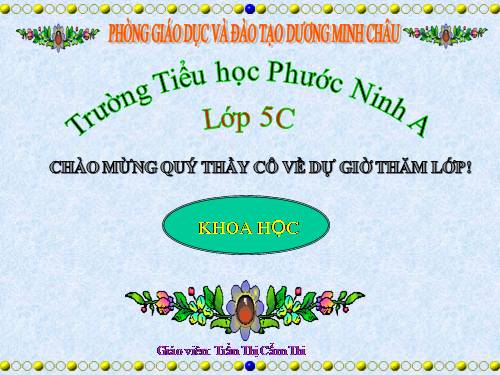 Bài 19. Phòng tránh tai nạn giao thông đường bộ