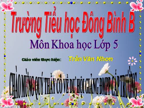 Bài 19. Phòng tránh tai nạn giao thông đường bộ