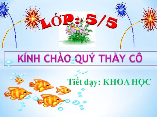 Bài 18. Phòng tránh bị xâm hại