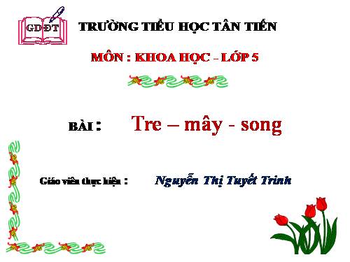 Bài 22. Tre, mây, song