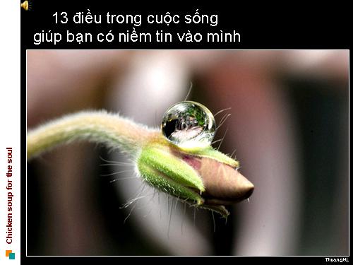 Ý nghĩa cuộc sống